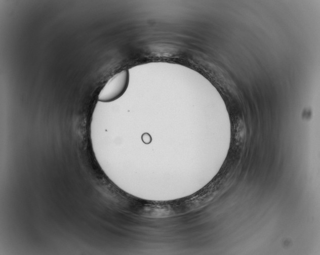 X0000102370559200808291252