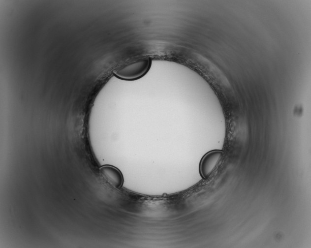 X0000102370560200808291252
