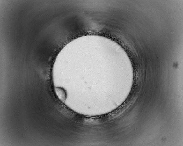 X0000102370561200808291252