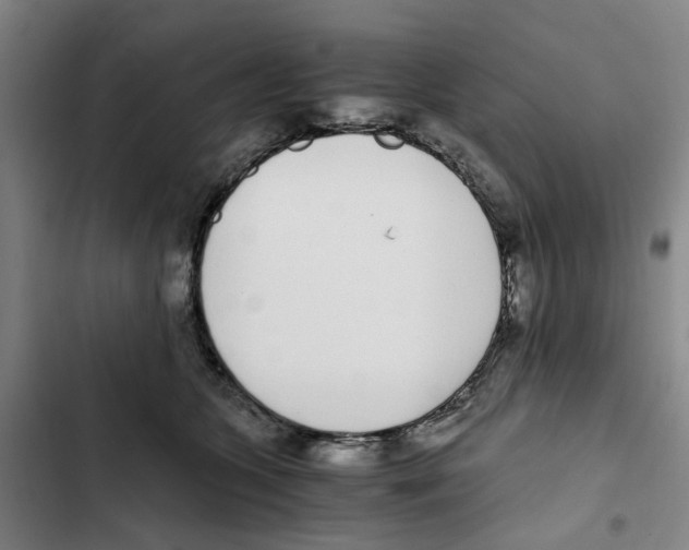 X0000102370563200808291252