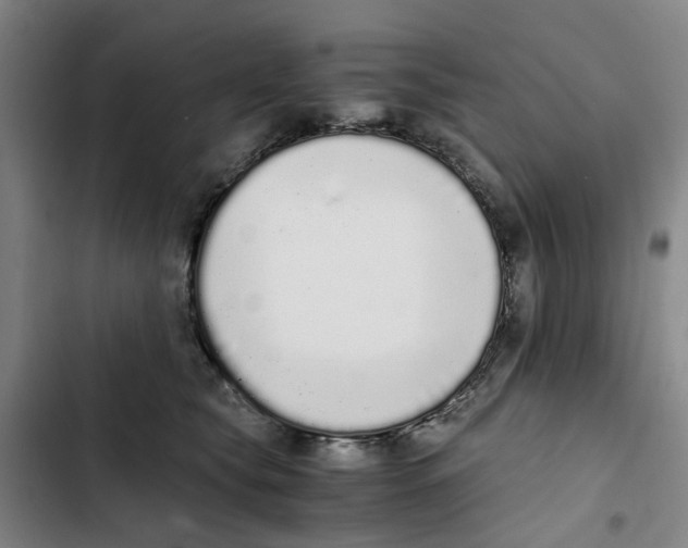 X0000102370565200808291252