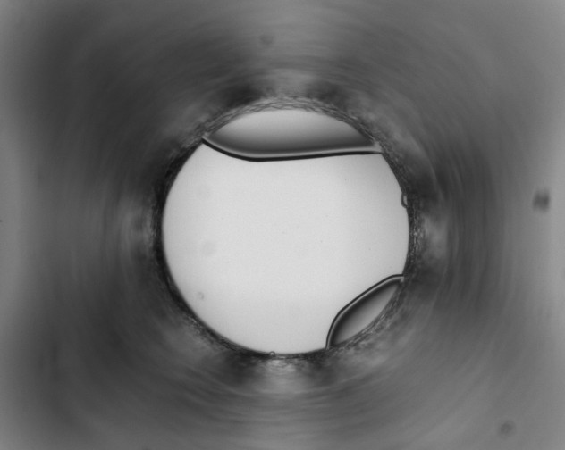 X0000102370566200808291252