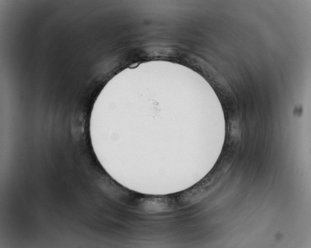 X0000102370567200808291252