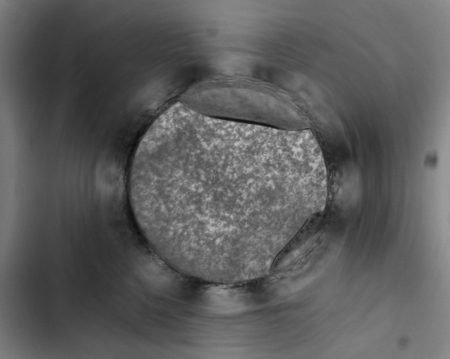 X0000102370568200808291252