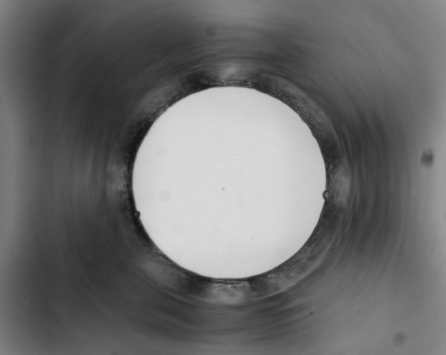 X0000102370571200808291252