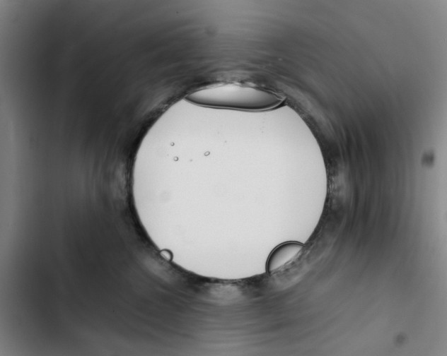 X0000102370572200808291252