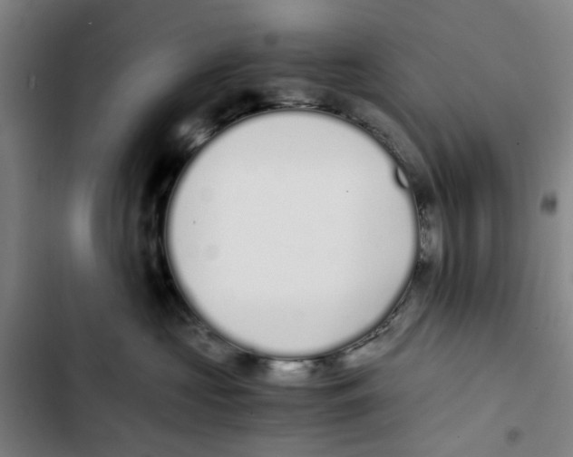 X0000102370573200808291252