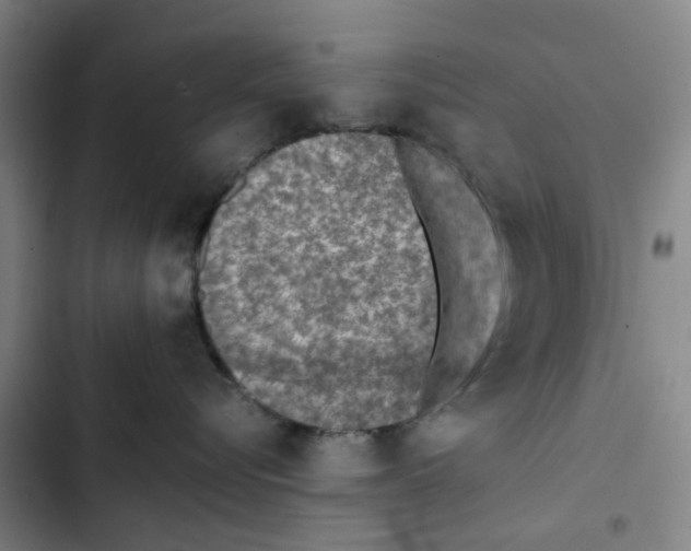 X0000102370576200808291252