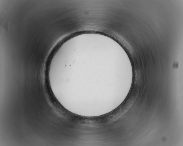 X0000102370580200808291251
