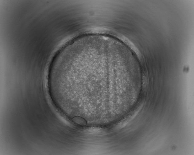 X0000102370581200808291251