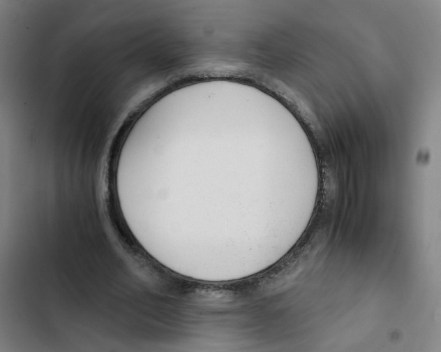 X0000102370582200808291251