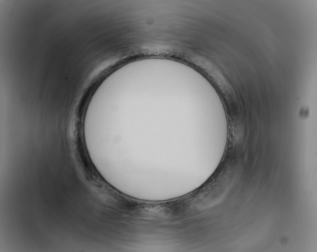 X0000102370583200808291251