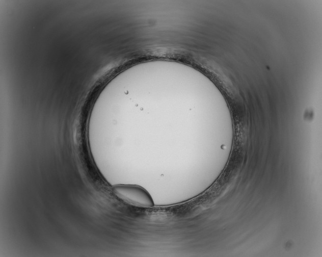 X0000102370587200808291251