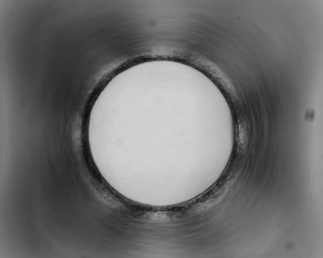 X0000102370588200808291251