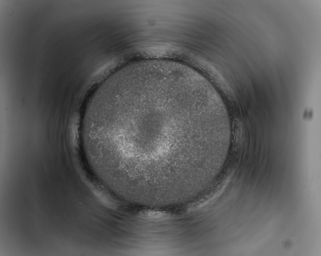 X0000102370590200808291251