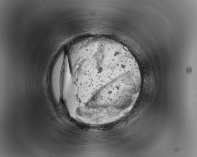 X0000102370592200808291251