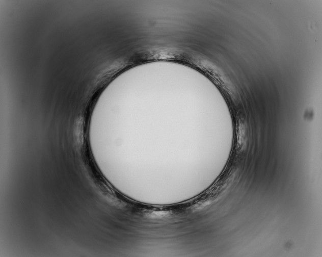 X0000102370594200808291251