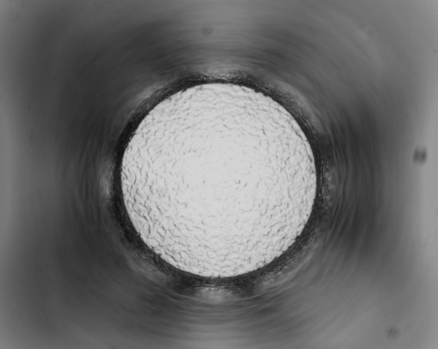 X0000102370596200808291250