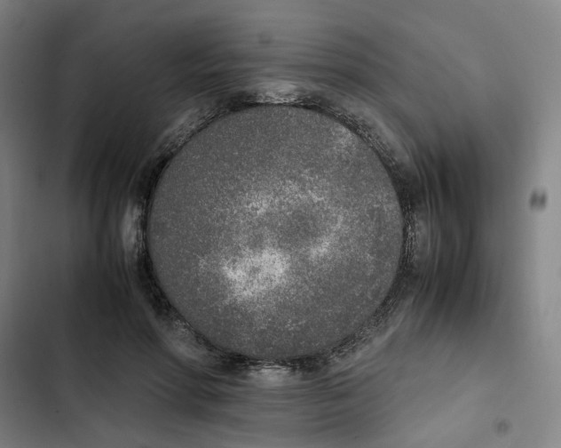 X0000102370598200808291250