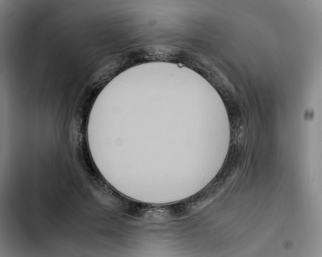 X0000102370599200808291250