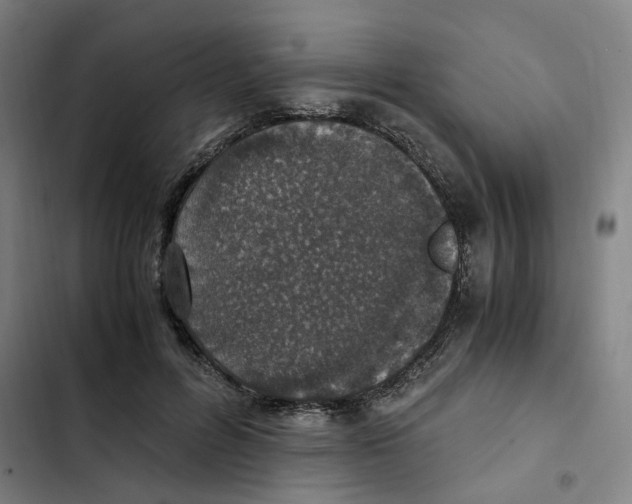 X0000102370600200808291250