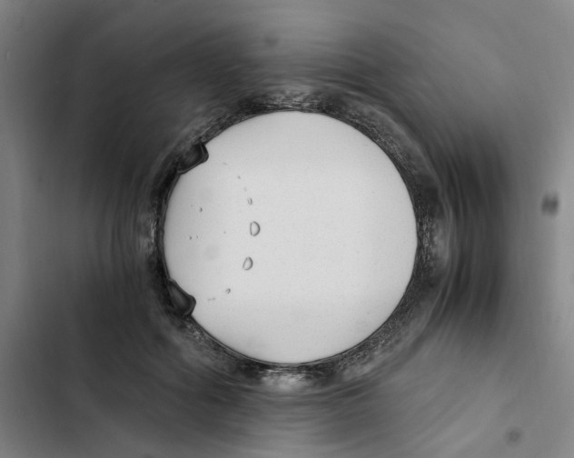 X0000102370602200808291250