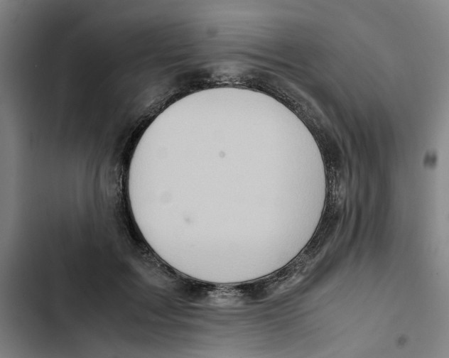 X0000102370603200808291250