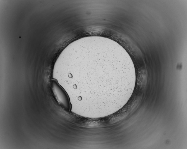 X0000102370604200808291250
