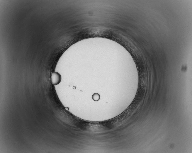 X0000102370605200808291250