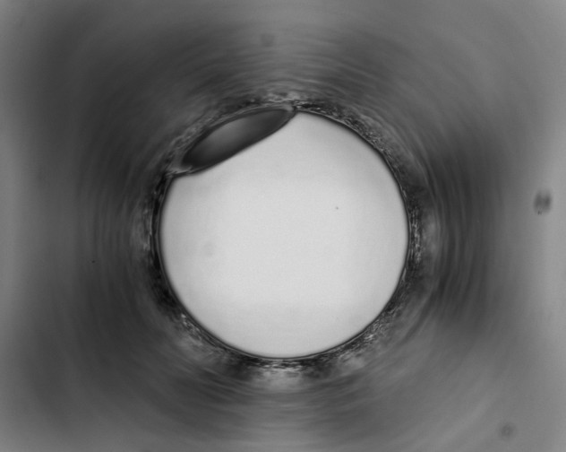 X0000102370606200808291250