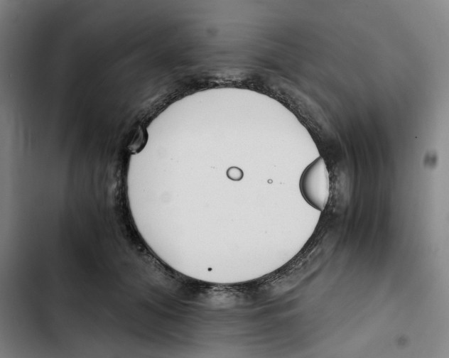 X0000102370608200808291250