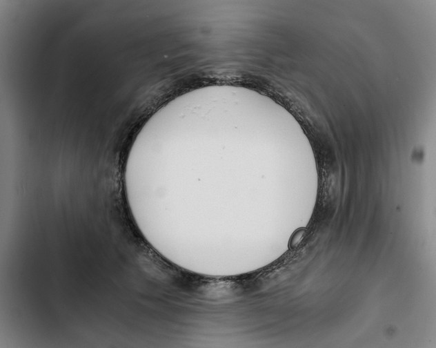 X0000102370609200808291250