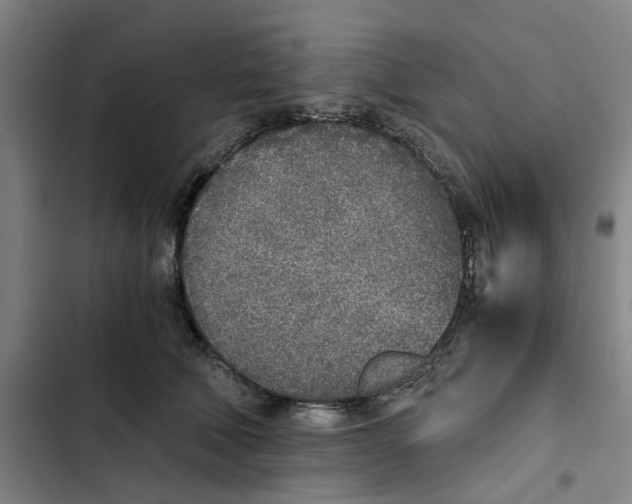 X0000102370610200808291250
