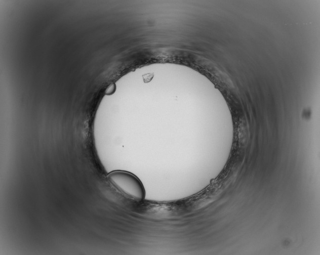 X0000102370611200808291250