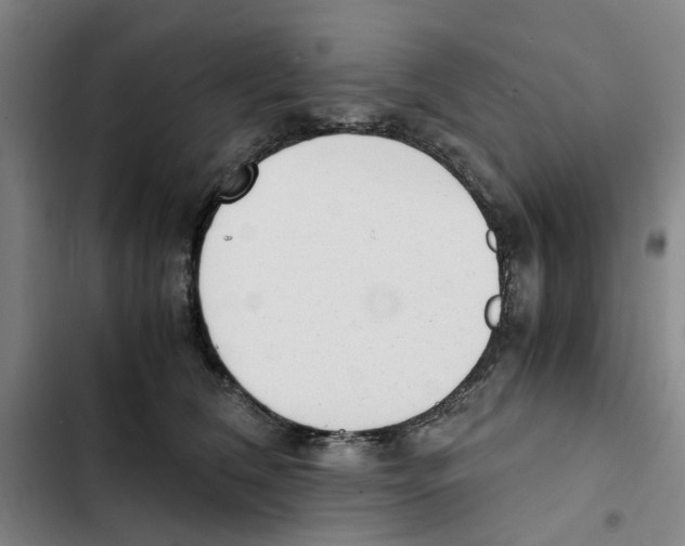 X0000102370612200808291250