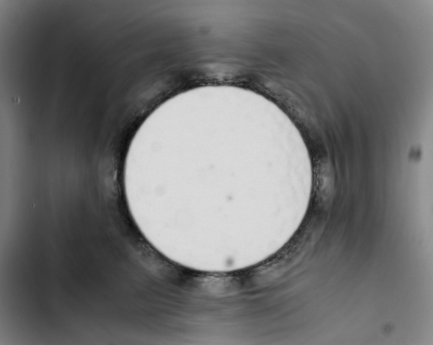 X0000102370615200808291250