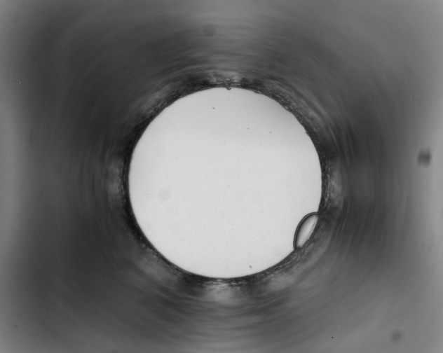 X0000102370616200808291250