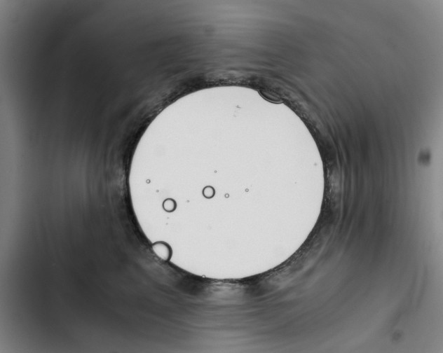 X0000102370617200808291250