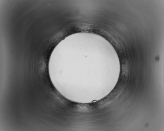 X0000102370618200808291250