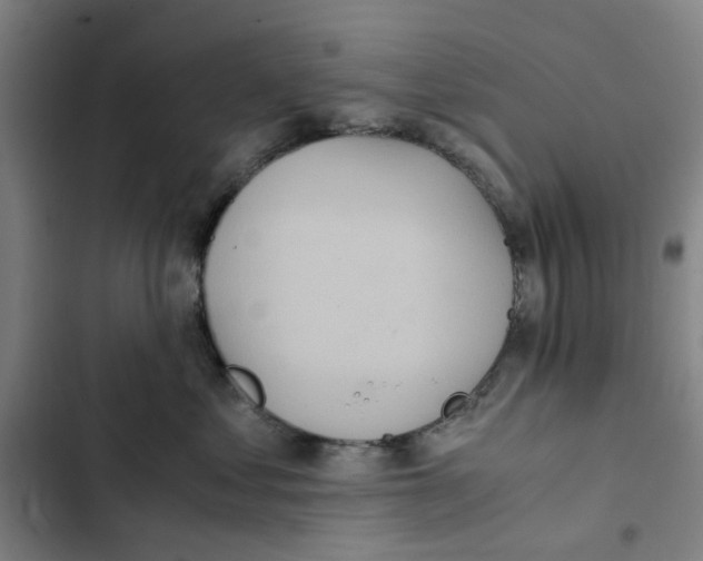 X0000102370621200808291250