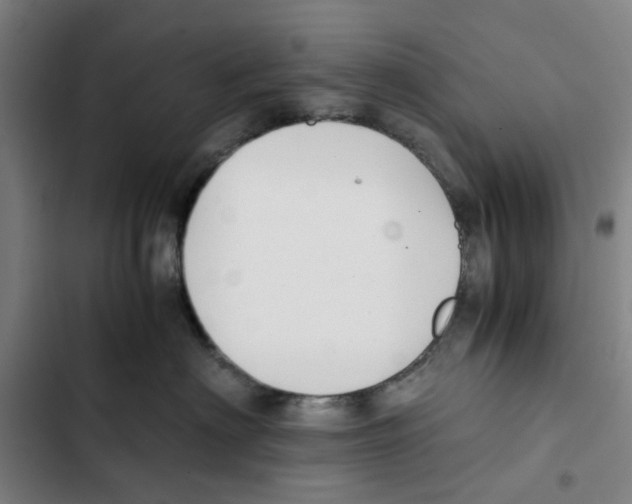 X0000102370622200808291250