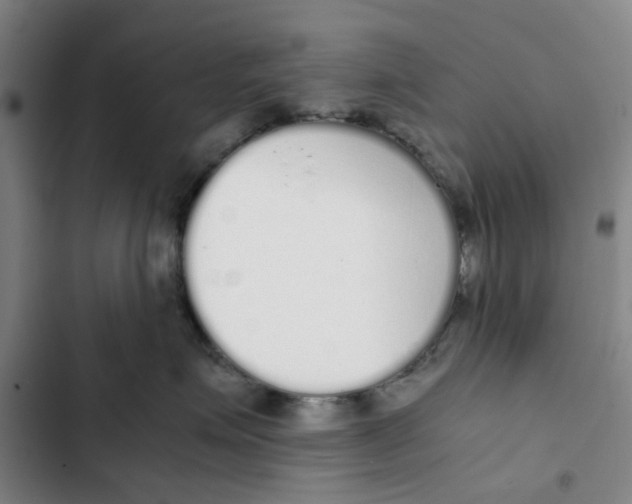 X0000102370623200808291250