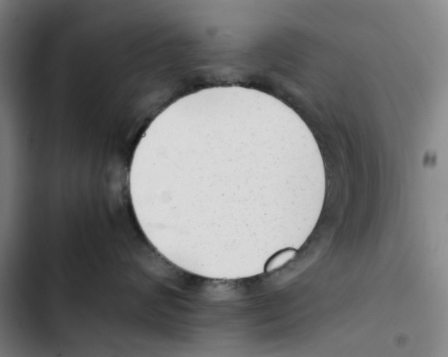 X0000102370624200808291250