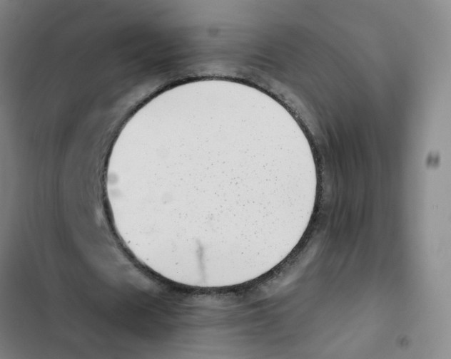 X0000102370625200808291249