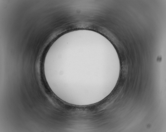 X0000102370626200808291249
