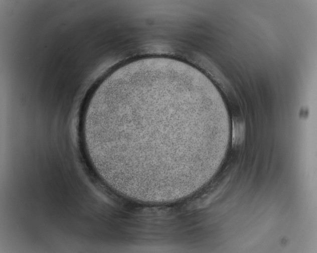 X0000102370627200808291249