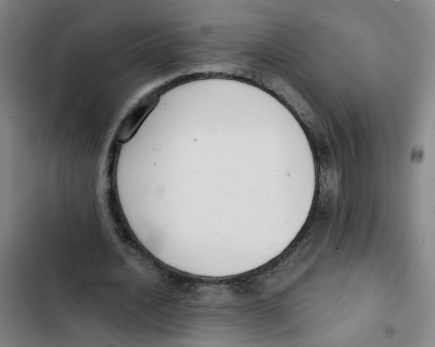 X0000102370628200808291249