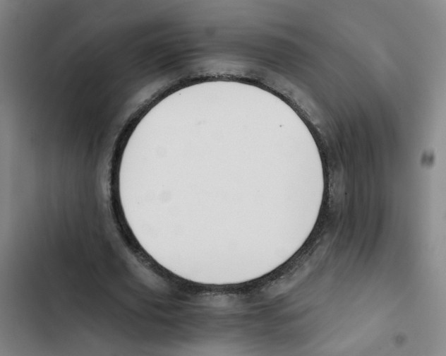 X0000102370629200808291249