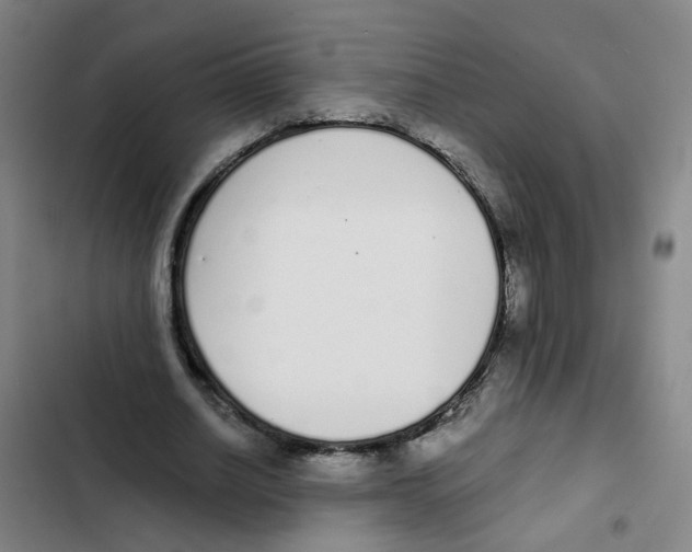 X0000102370630200808291249
