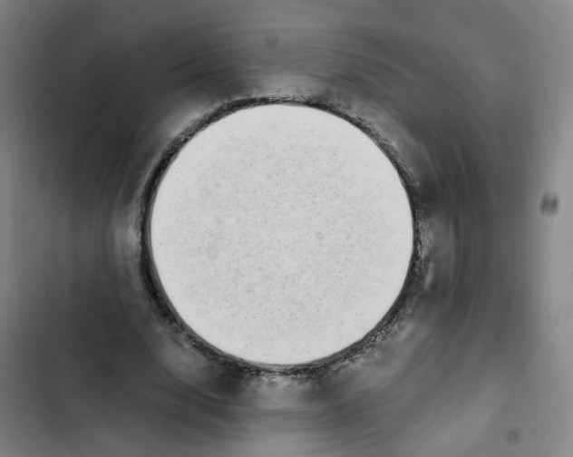 X0000102370632200808291249